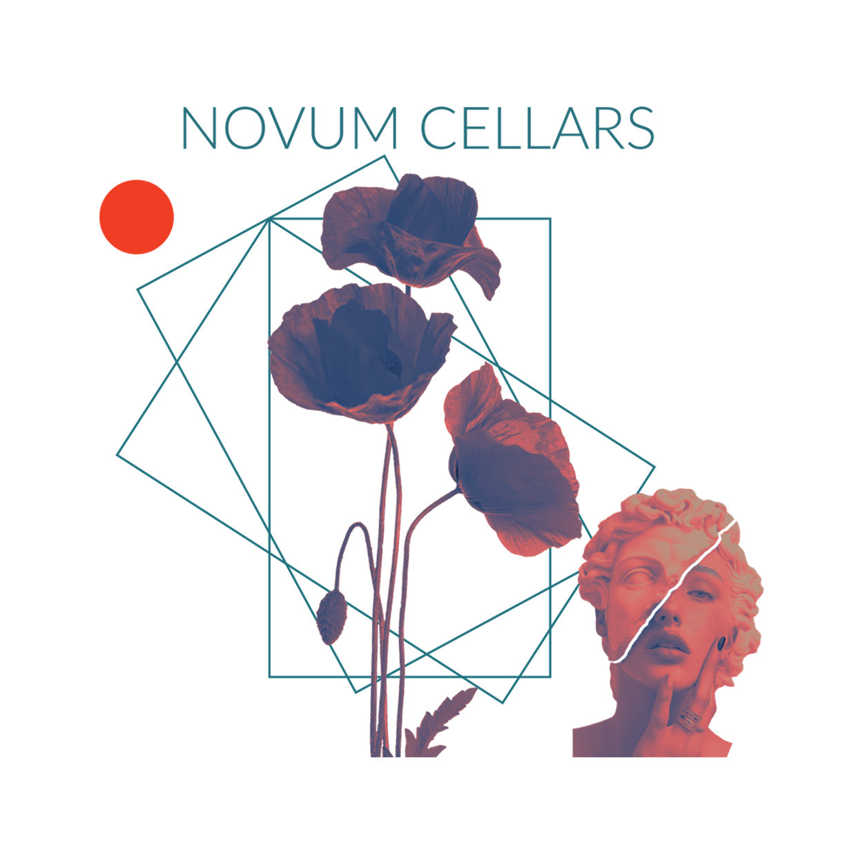 2024 Novum Cellars Aurum Skin Contact White Wine Muscat Front Label