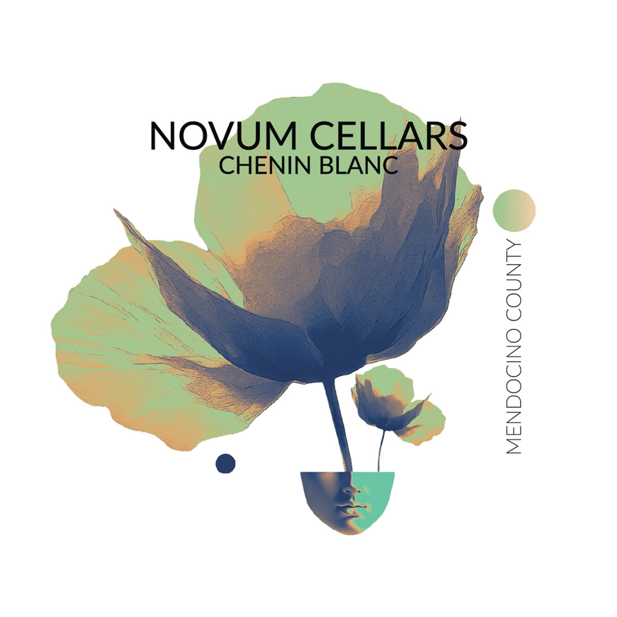 2025 Novum Cellars Chenin Blanc Wine Front Label